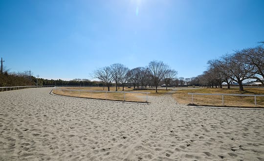 900mダートコース