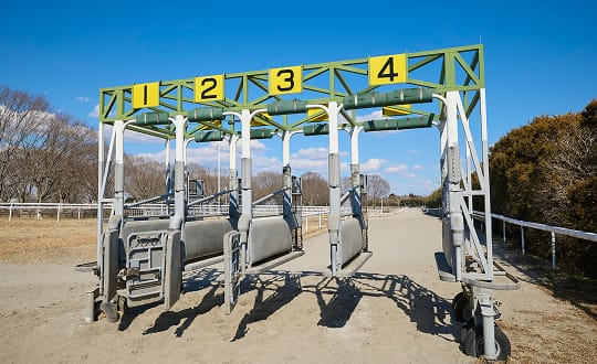 スターティングゲート