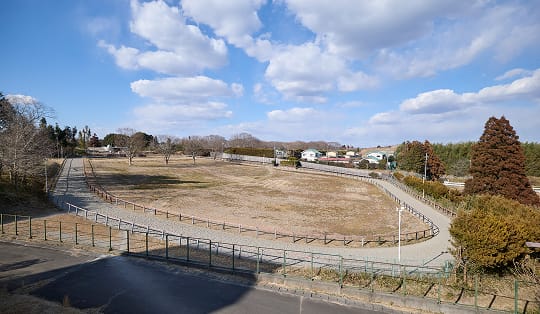 坂路状角馬場