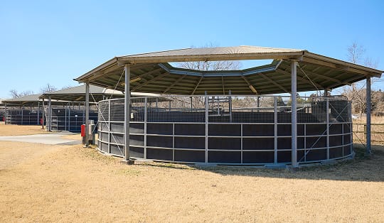 ウォーキングマシン